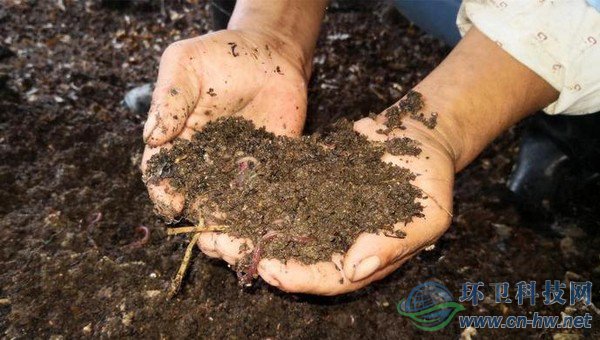 每20噸不值錢的濕垃圾，可以轉(zhuǎn)換成1噸售價(jià)在1萬多元的蚯蚓活體