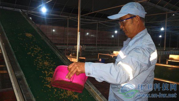 經(jīng)過篩選、蒸煮、烘干、粉碎后的蟲干、蟲粉，市場(chǎng)價(jià)值比蚯蚓活體高出許多 