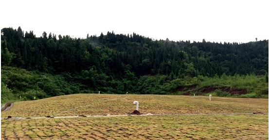 1542159312781003.png 1542159312781003.png