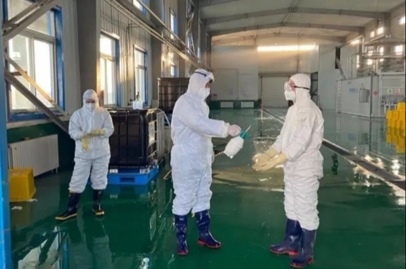 1581476907182522.jpg 6.jpg